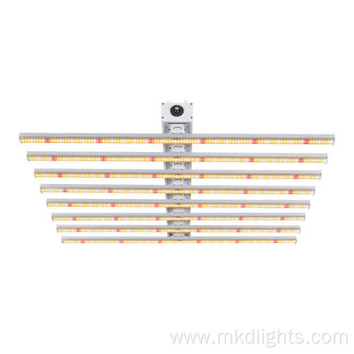 Best Indoor Plant Grow Light For Low Light